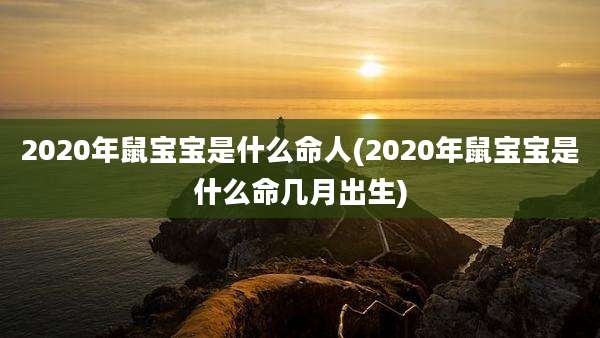 2020年鼠宝宝是什么命人(2020年鼠宝宝是什么命几月出生)
