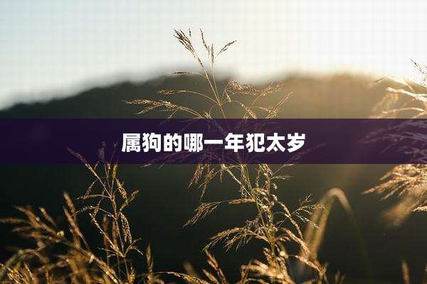 属狗的哪一年犯太岁