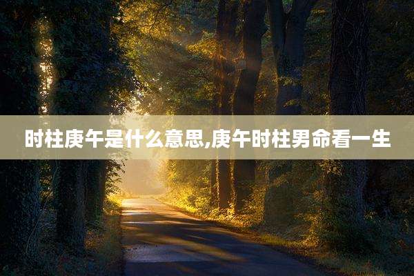 时柱庚午是什么意思,庚午时柱男命看一生