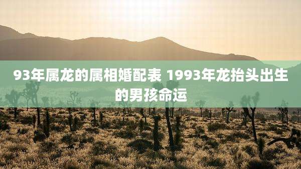 93年属龙的属相婚配表 1993年龙抬头出生的男孩命运