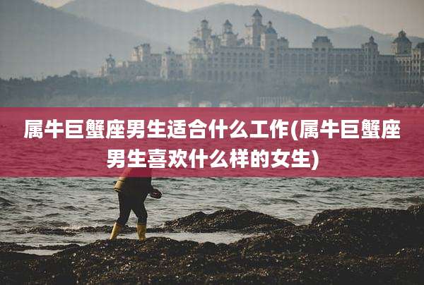 属牛巨蟹座男生适合什么工作(属牛巨蟹座男生喜欢什么样的女生)