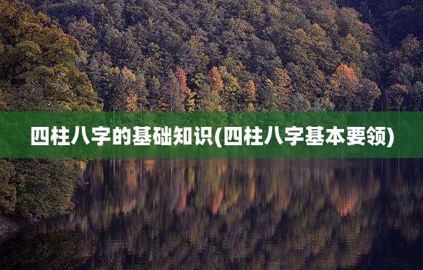 四柱八字的基础知识(四柱八字基本要领)