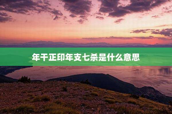 年干正印年支七杀是什么意思