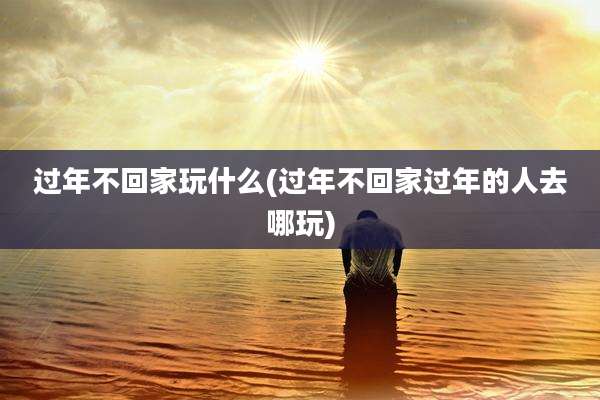 过年不回家玩什么(过年不回家过年的人去哪玩)