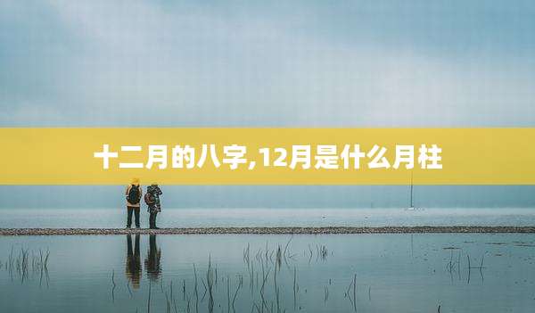 十二月的八字,12月是什么月柱