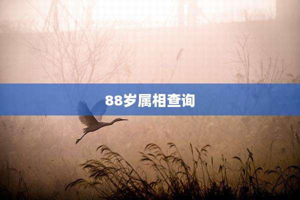 88岁属相查询