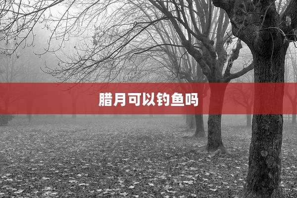 腊月可以钓鱼吗