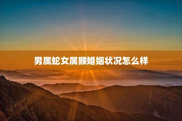 男属蛇女属猴婚姻状况怎么样