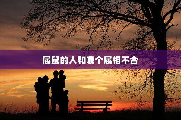 属鼠的人和哪个属相不合