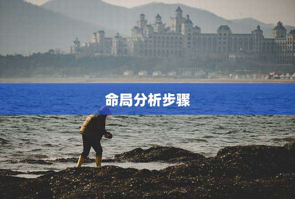 命局分析步骤