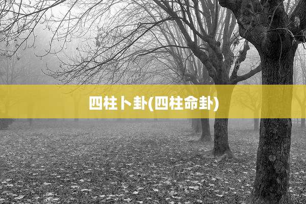 四柱卜卦(四柱命卦)