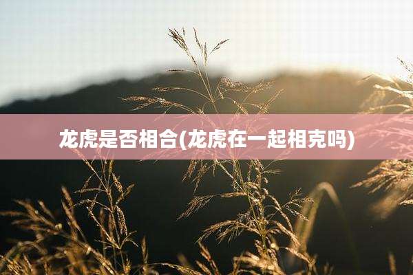 龙虎是否相合(龙虎在一起相克吗)