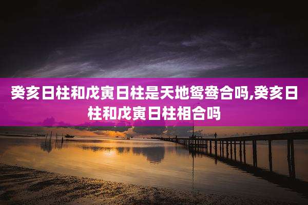 癸亥日柱和戊寅日柱是天地鸳鸯合吗,癸亥日柱和戊寅日柱相合吗