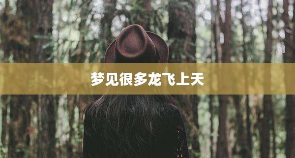 梦见很多龙飞上天
