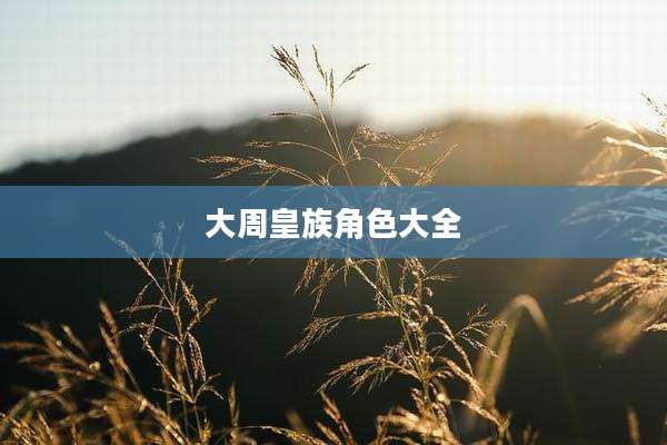 大周皇族角色大全