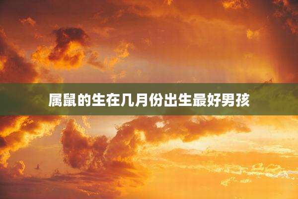 属鼠的生在几月份出生最好男孩