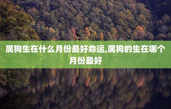属狗生在什么月份最好命运,属狗的生在哪个月份最好
