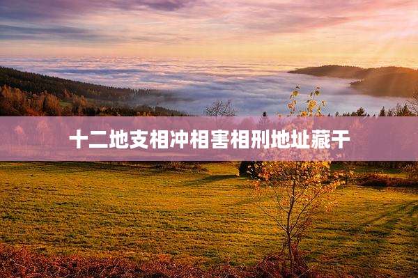 十二地支相冲相害相刑地址藏干