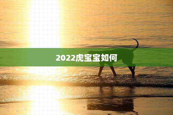 2022虎宝宝如何