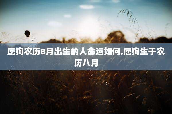 属狗农历8月出生的人命运如何,属狗生于农历八月