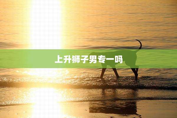 上升狮子男专一吗