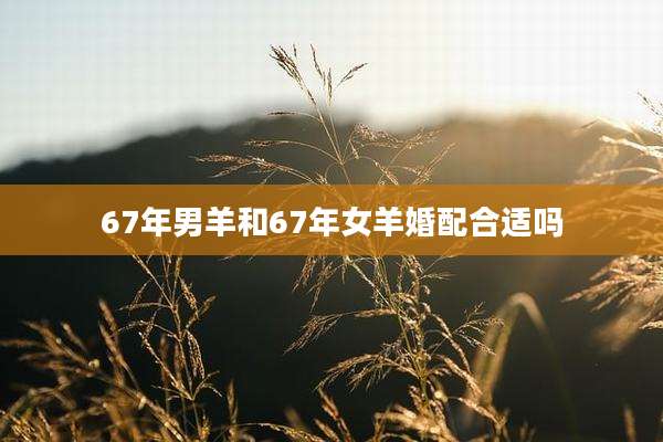 67年男羊和67年女羊婚配合适吗