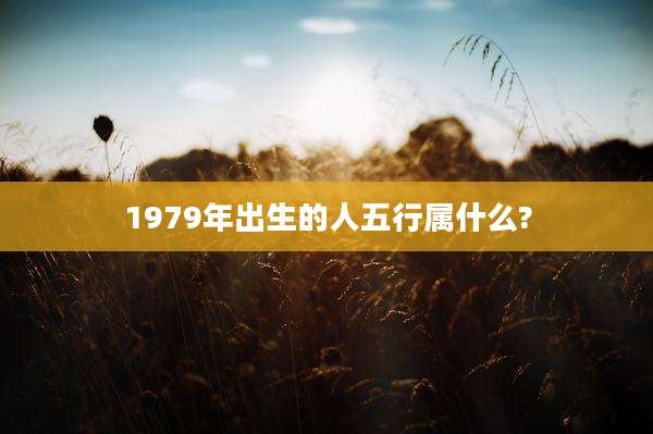 1979年出生的人五行属什么?