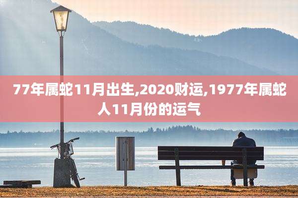 77年属蛇11月出生,2020财运,1977年属蛇人11月份的运气