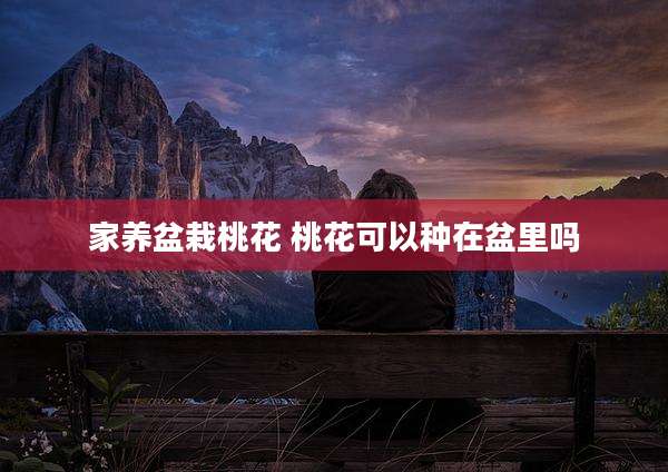 家养盆栽桃花 桃花可以种在盆里吗