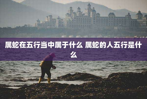 属蛇在五行当中属于什么 属蛇的人五行是什么