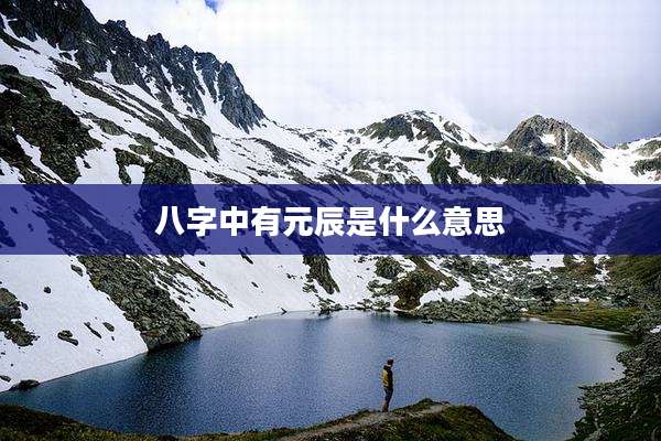八字中有元辰是什么意思