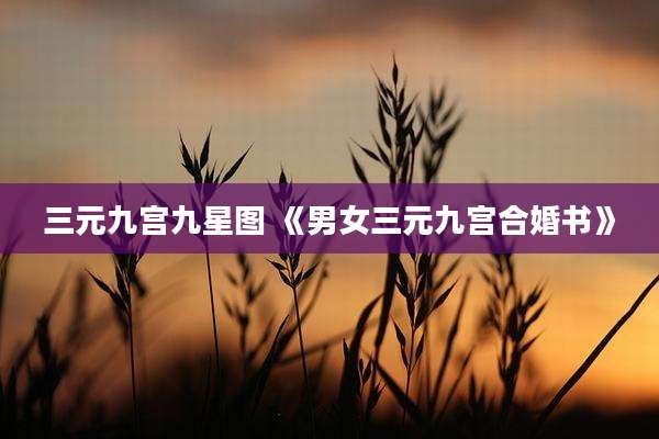 三元九宫九星图 《男女三元九宫合婚书》