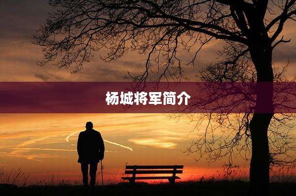 杨城将军简介