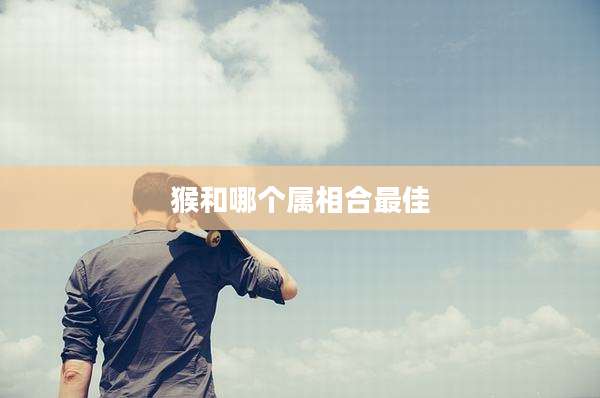 猴和哪个属相合最佳
