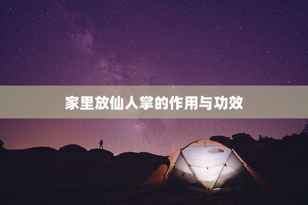 家里放仙人掌的作用与功效