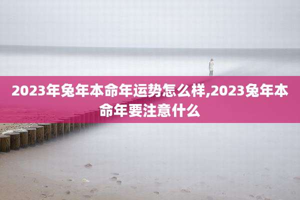 2023年兔年本命年运势怎么样,2023兔年本命年要注意什么
