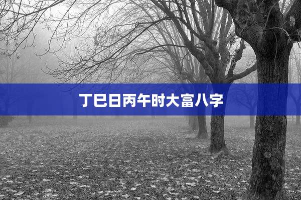 丁巳日丙午时大富八字