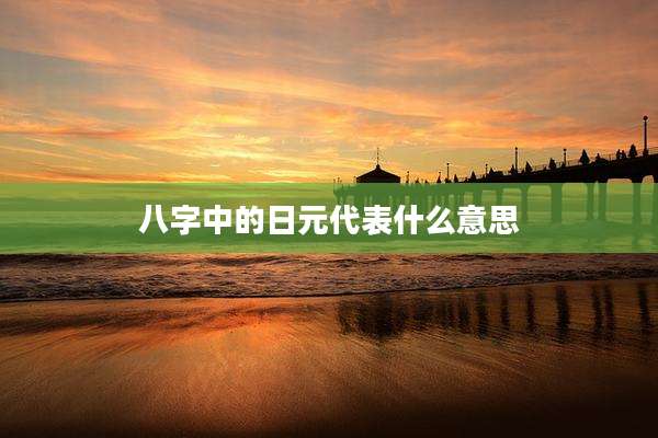 八字中的日元代表什么意思