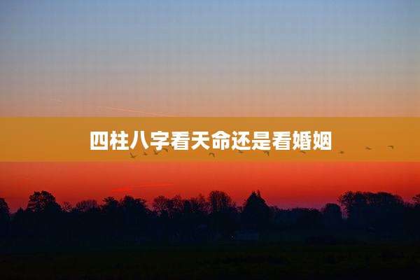 四柱八字看天命还是看婚姻
