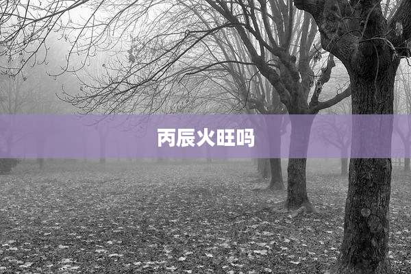 丙辰火旺吗