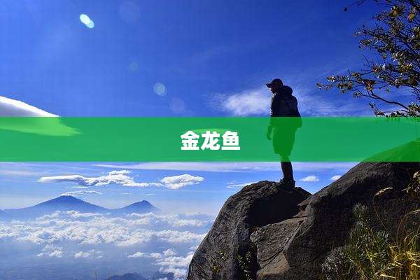 金龙鱼