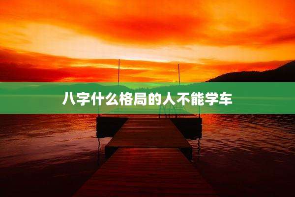 八字什么格局的人不能学车