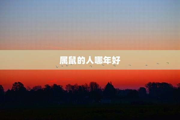 属鼠的人哪年好
