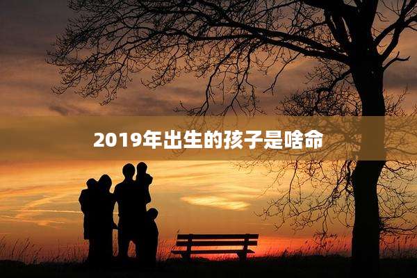 2019年出生的孩子是啥命