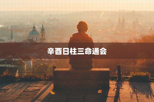 辛酉日柱三命通会