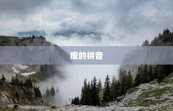 瘦的拼音