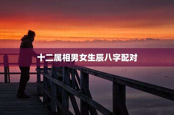 十二属相男女生辰八字配对