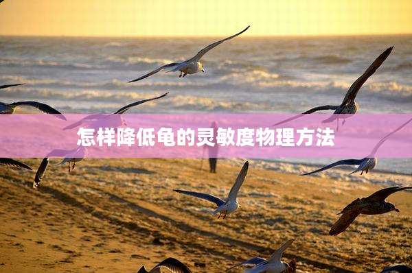 怎样降低龟的灵敏度物理方法