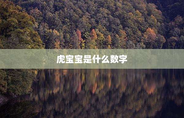 虎宝宝是什么数字
