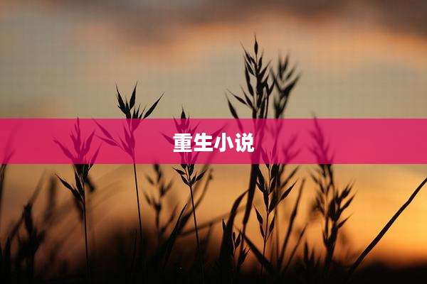 重生小说